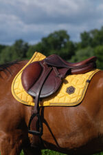 EQUITHÈME Saddlebag - Hexalight - Image 15