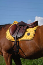 EQUITHÈME Saddlebag - Hexalight - Image 16