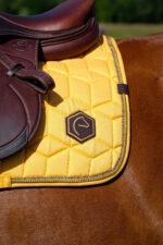 EQUITHÈME Saddlebag - Hexalight - Image 18