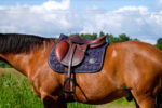 EQUITHÈME Saddle pad - Softhex - Image 7