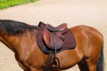 EQUITHÈME Saddle pad - Impulse - Image 8