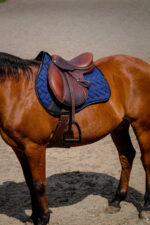 EQUITHÈME Saddle pad - Impulse - Image 17