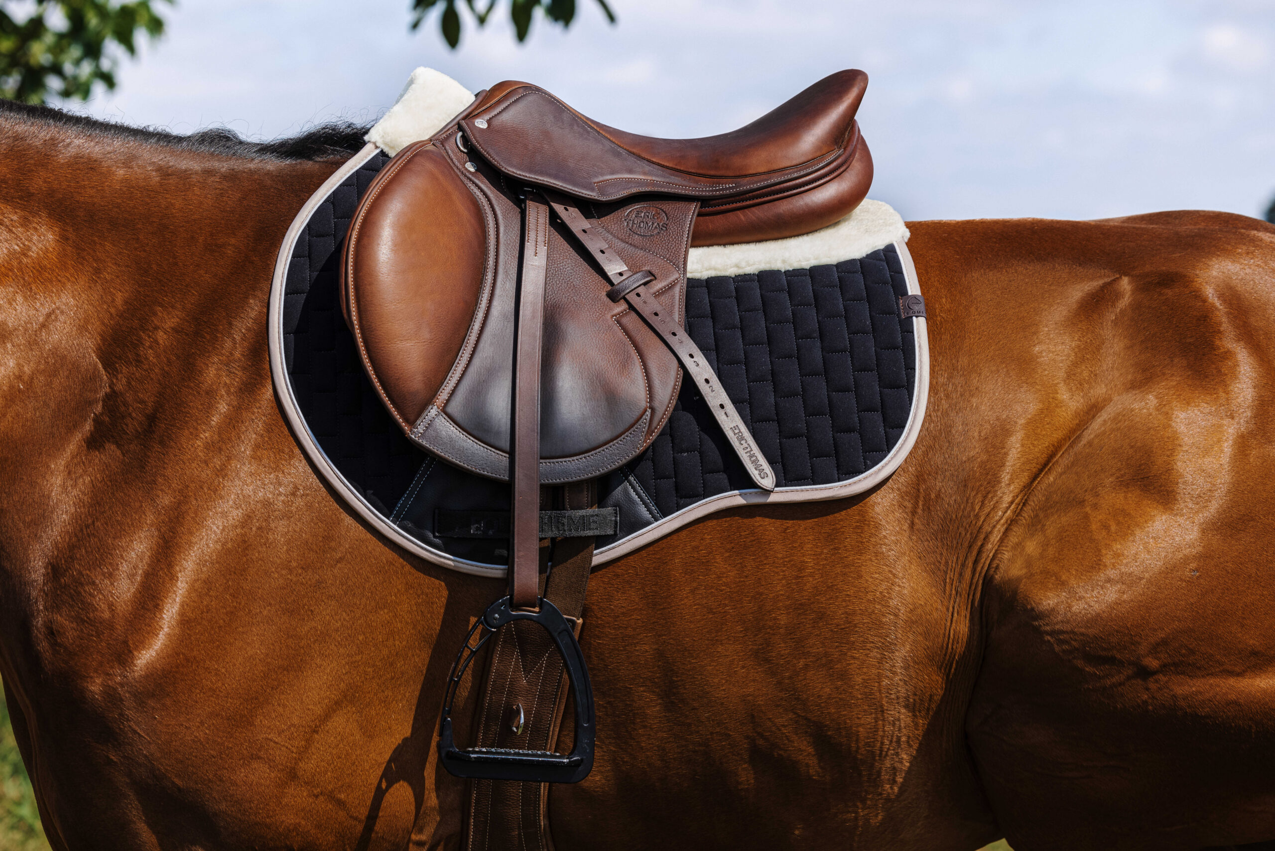 EQUITHÈME Saddle pad - Dinard