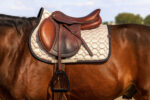 EQUITHÈME Saddle pad - Pretty - Image 5
