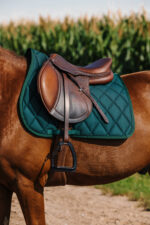 RIDING WORLD - School - Saddle pad - Image 15