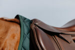 RIDING WORLD - School - Saddle pad - Image 17