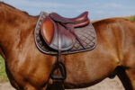 RIDING WORLD - Velours - Saddle pad - Image 10