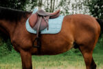 RIDING WORLD Saddle pad - Sunshine - Image 16