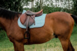 RIDING WORLD Saddle pad - Sunshine - Image 17