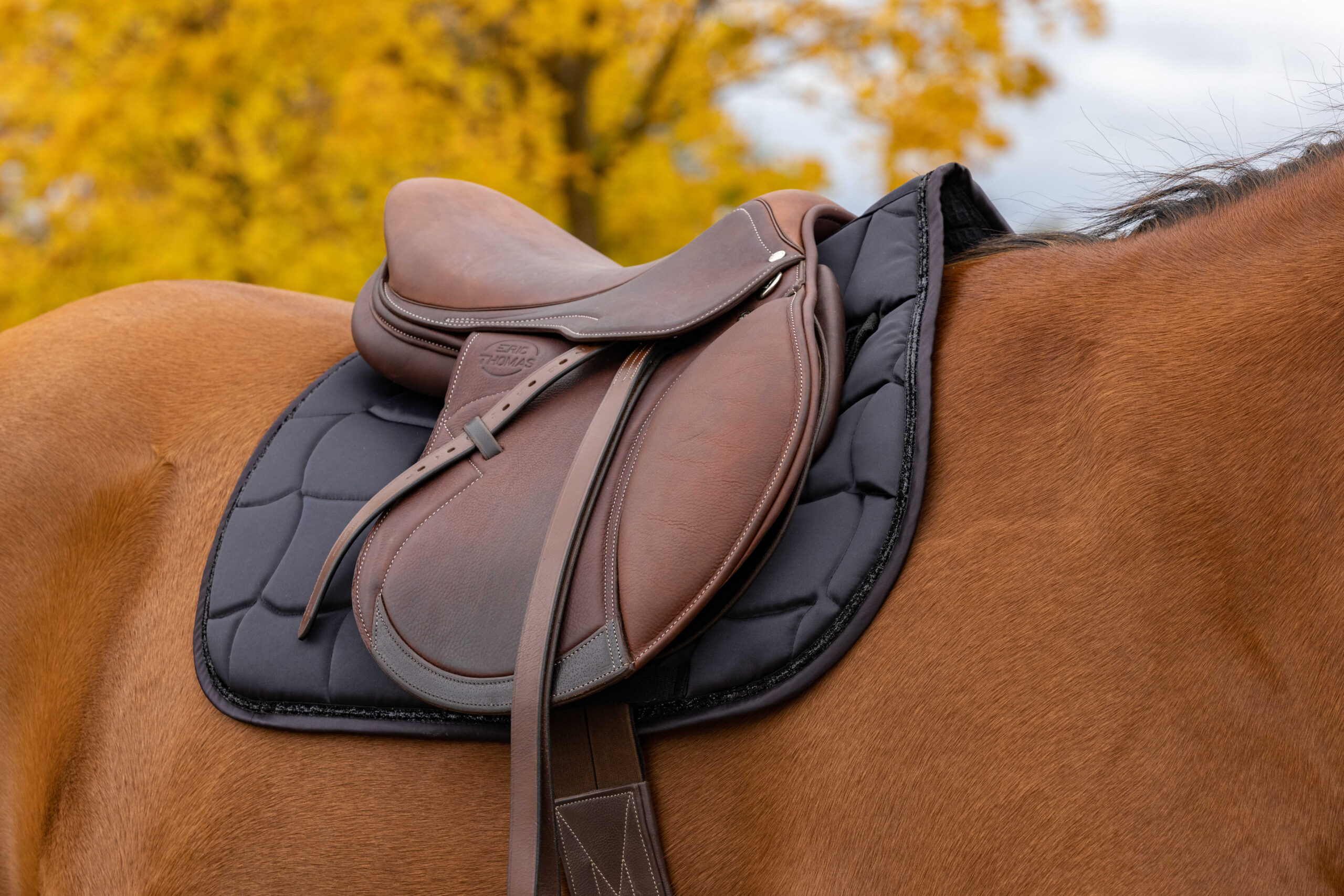 EQUITHÈME Saddlebag - Satin
