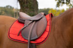 EQUITHÈME Saddlebag - Satin - Image 6