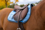 EQUITHÈME Saddlebag - Satin - Image 15