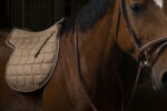 EQUITHÈME Saddlebag - Hunter - Image 7