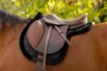 EQUITHÈME Matte - Pro - Shaped Saddle pad