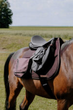 RANDOL'S Trail Riding Rug - Mesh - Image 7