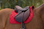 RIDING WORLD - Rope - Saddle pad - Image 9