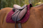 RIDING WORLD - Rope - Saddle pad - Image 8