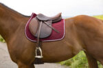 RIDING WORLD Saddle pad - Girly - Image 11