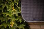 PADDOCK "American Dressage" Saddle pad - Image 2
