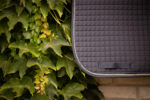 PADDOCK "American Dressage" Saddle pad - Image 11