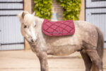 PADDOCK "Prems" Saddle pad - Image 12