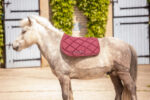 PADDOCK "Prems" Saddle pad - Image 13