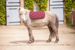 PADDOCK "Prems" Saddle pad - Image 14