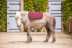 PADDOCK "Prems" Saddle pad - Image 15