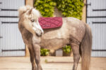 PADDOCK "Prems" Saddle pad - Image 16