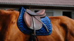 EQUITHÈME Saddle pad - Glossy - Image 11