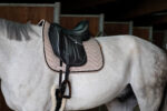 EQUITHÈME "Glossy" Saddle pad