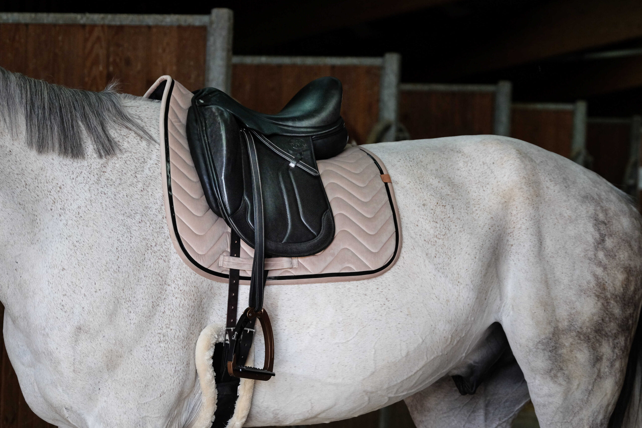 EQUITHÈME "Glossy" Saddle pad