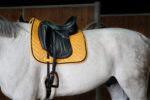 EQUITHÈME "Glossy" Saddle pad - Image 5