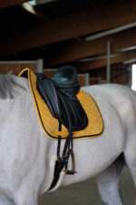 EQUITHÈME "Glossy" Saddle pad - Image 6