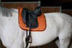 EQUITHÈME "Glossy" Saddle pad - Image 13