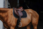EQUITHÈME - Orion - Saddle Pad - Image 12
