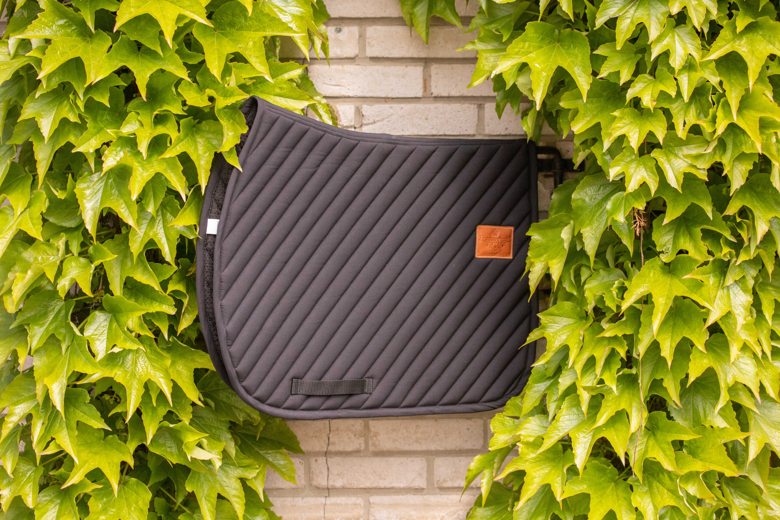 PADDOCK "Diagonal" Saddle