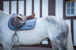 PADDOCK "Wooltouch" Pony saddle - Image 16