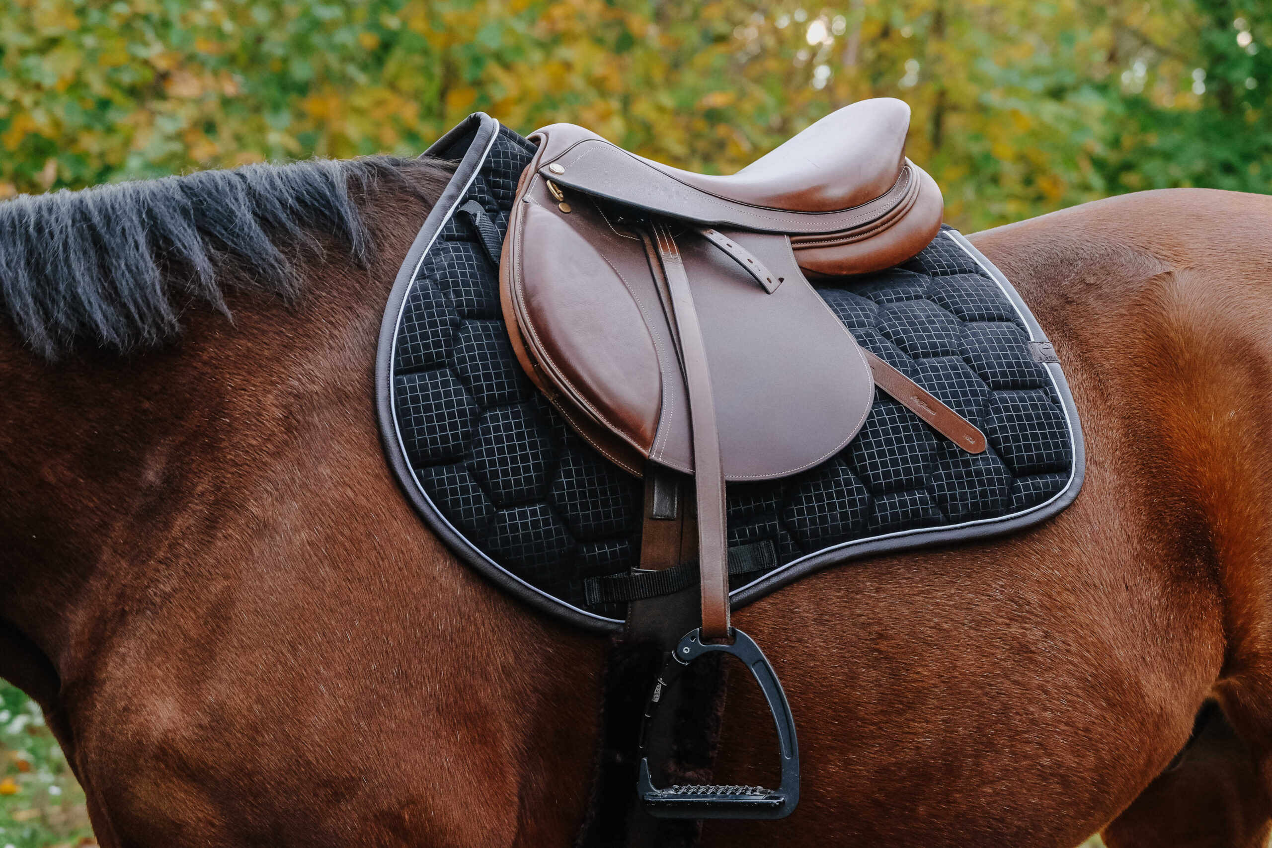 EQUITHÈME Saddle pad - Quadri