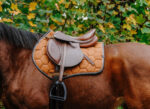 EQUITHÈME Saddle pad - Quadri - Image 4
