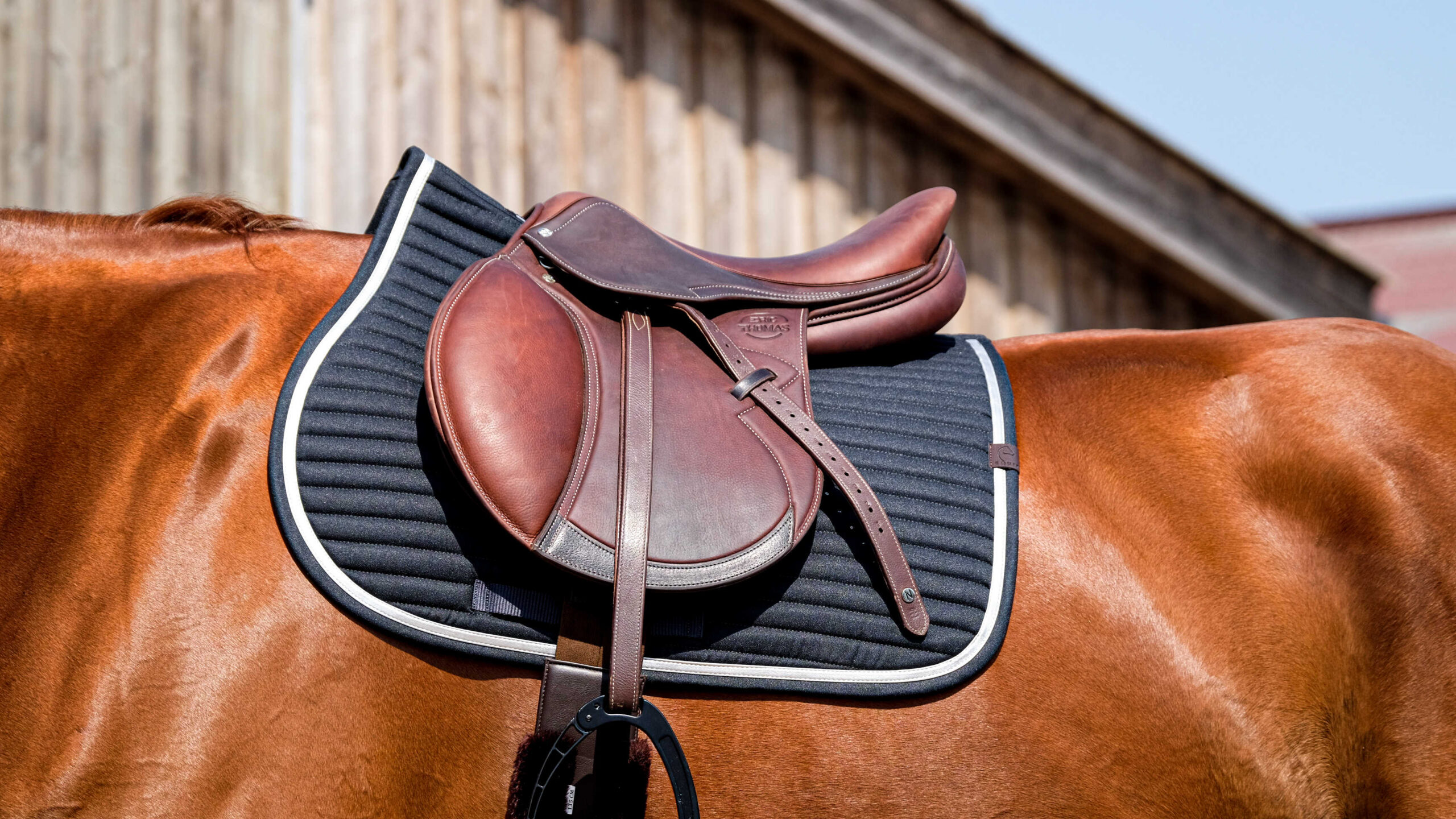 EQUITHEME Saddle pad - Spring