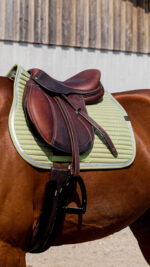 EQUITHEME Saddle pad - Spring - Image 4