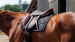 EQUITHEME Saddle pad - Badge 2.0 - Image 4