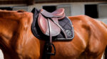 EQUITHEME Saddle pad - Badge 2.0 - Image 6