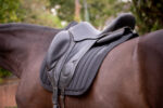 PADDOCK - Verticali - Dressage Saddle pad - Image 4