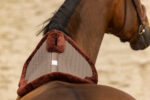 EQUITHÈME Back protector with withers freedom - Confort - Image 2