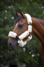 EQUITHÈME "Teddy" halter accessory set - Image 2