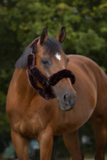 EQUITHÈME "Teddy" halter accessory set - Image 3