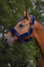 EQUITHÈME "Teddy" halter accessory set - Image 4