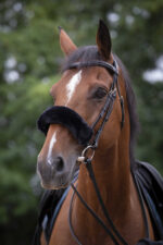EQUITHÈME Noseband Protector - Teddy - Image 3